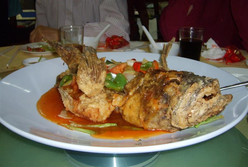 Fish