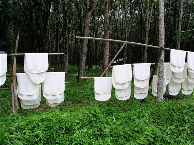 Processed rubber